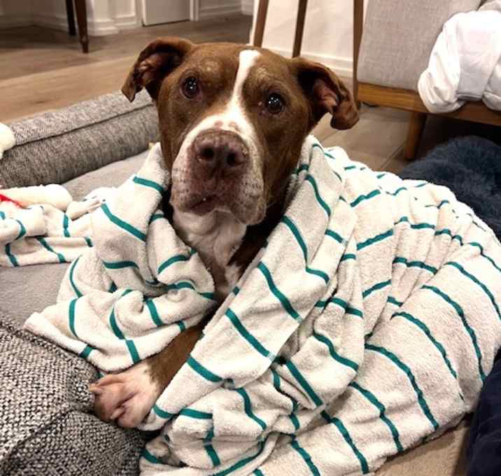 Photo of Getty 13591