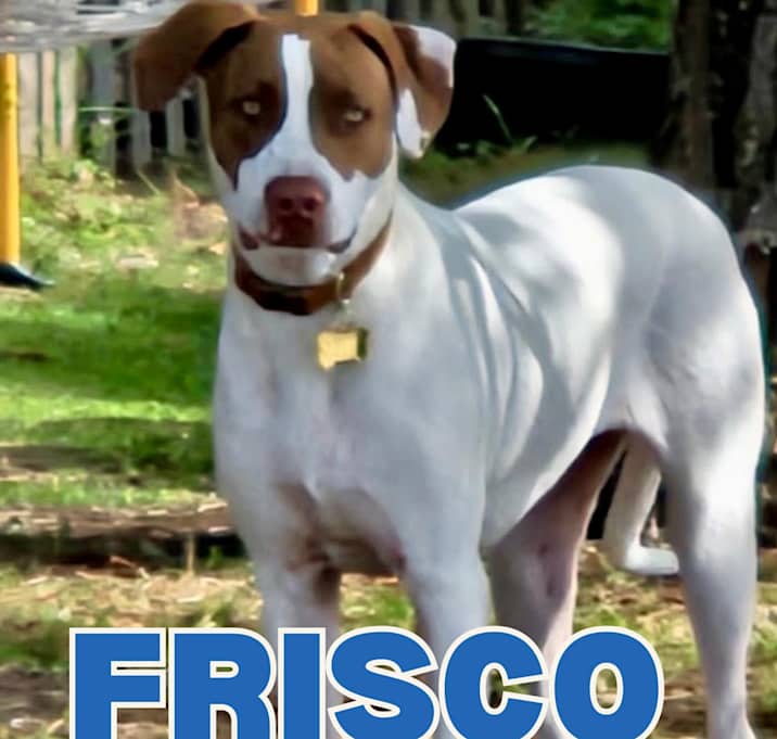 Photo of Frisco