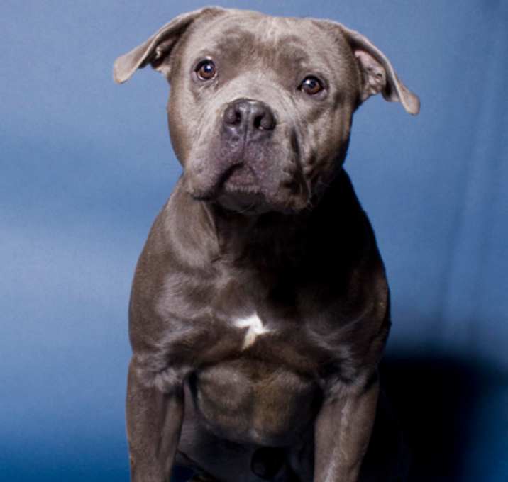 Photo of Casey-Jones