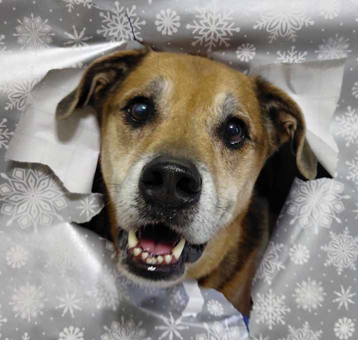 Photo of Twix JuM/AG