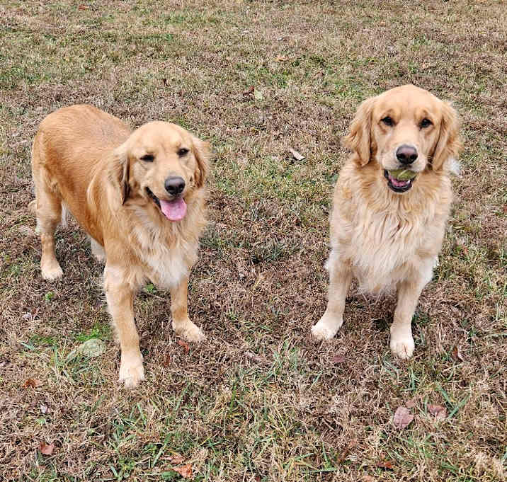 Photo of Bella #7329