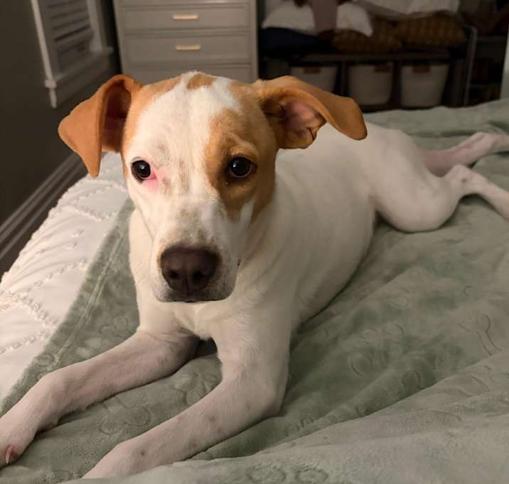 Photo of Callie Breeze