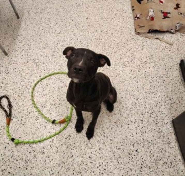 Photo of Lil Butter Snap