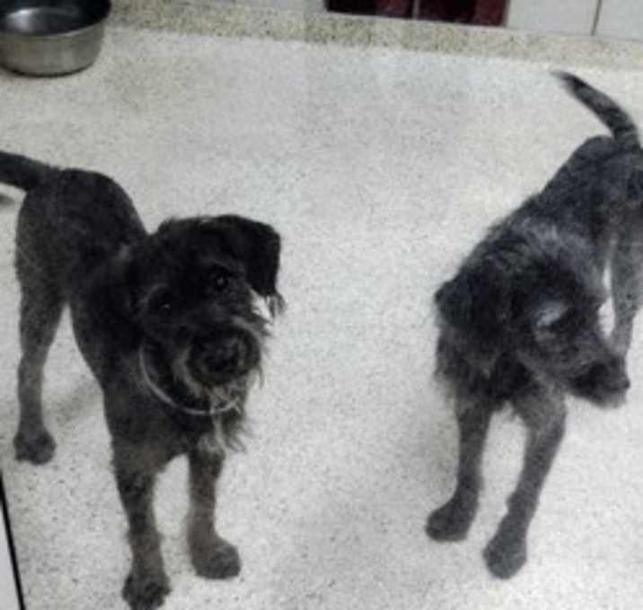 Photo of Nickelodeon