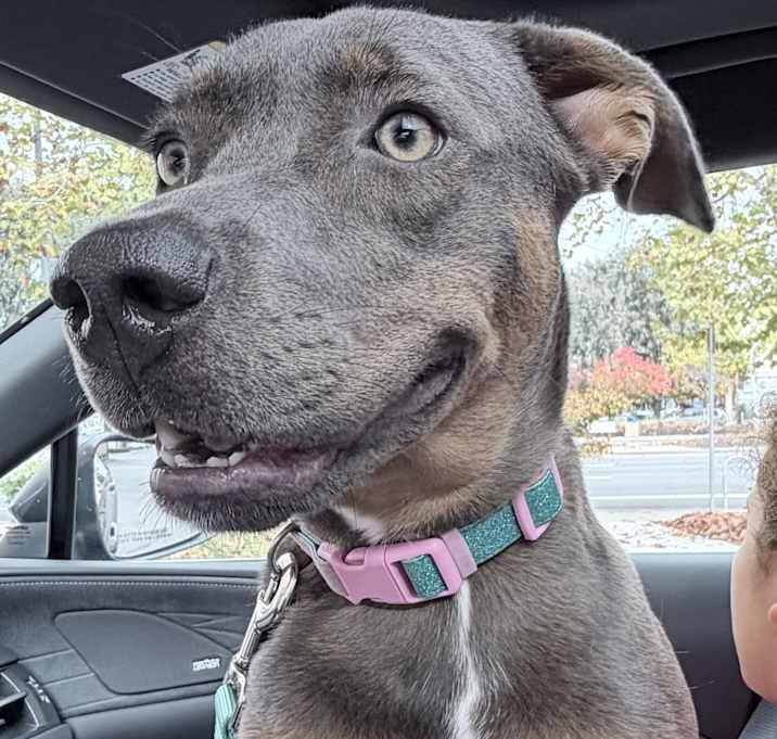 Photo of Peanut Butter