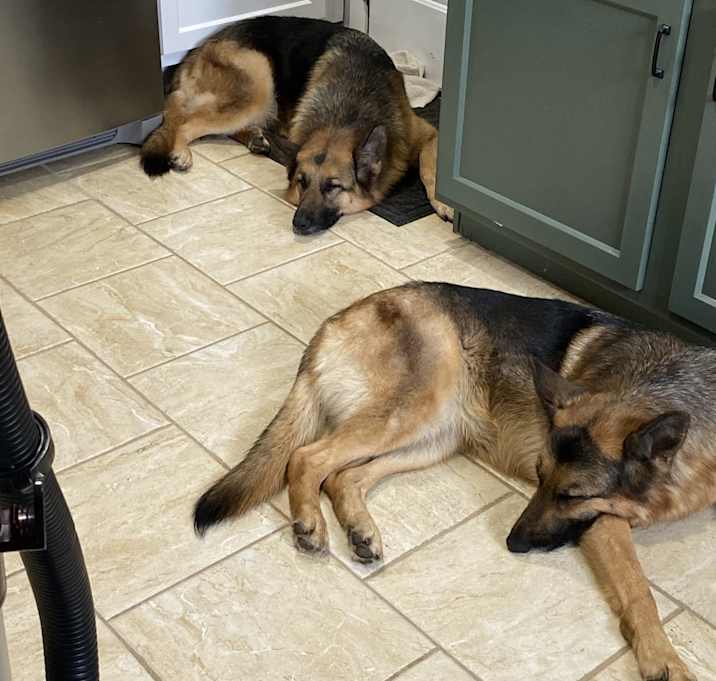 Photo of Copper and Olive