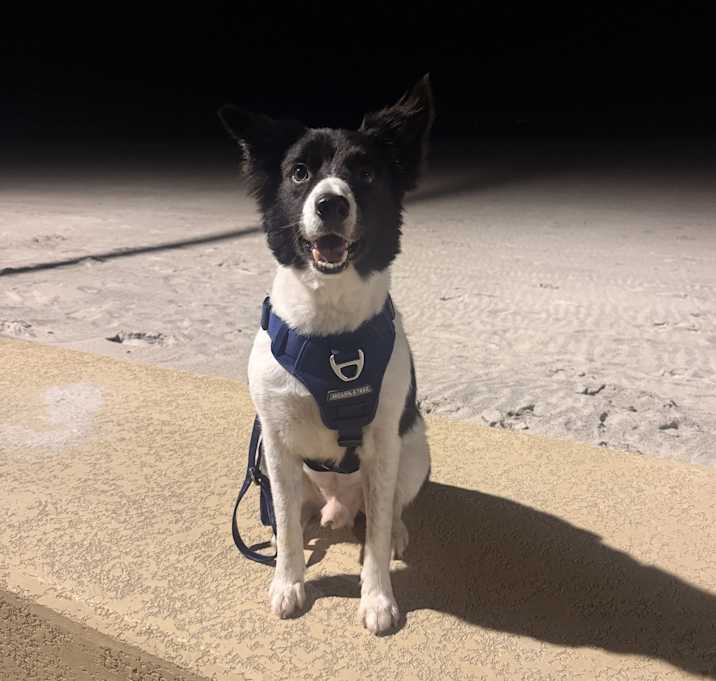 Photo of Titus (Titi)