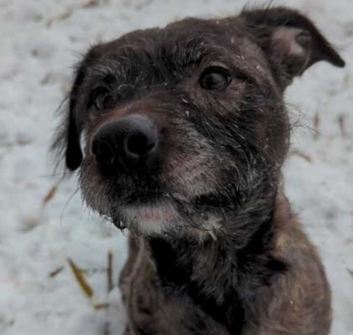 Photo of Peter Pepper