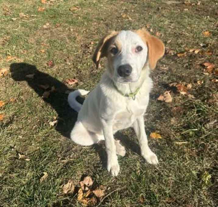 Photo of Butternut Squash