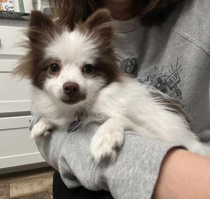 Photo of Willow Piper