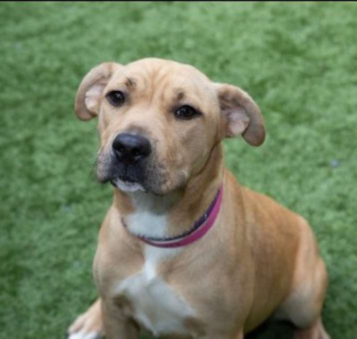 Photo of URGENT! Save Me Please