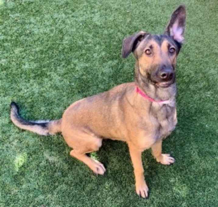 Photo of URGENT! Save Me Please