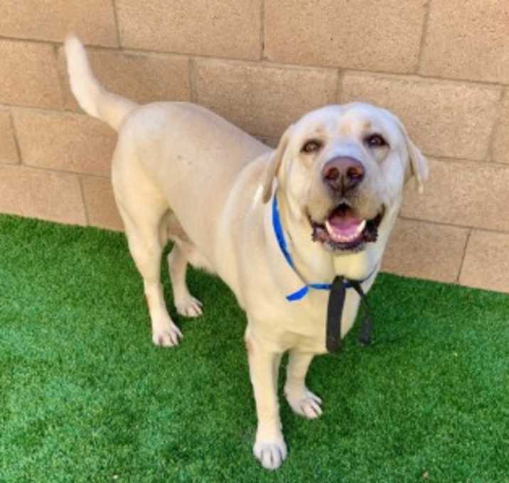 Photo of URGENT! Save Me Please