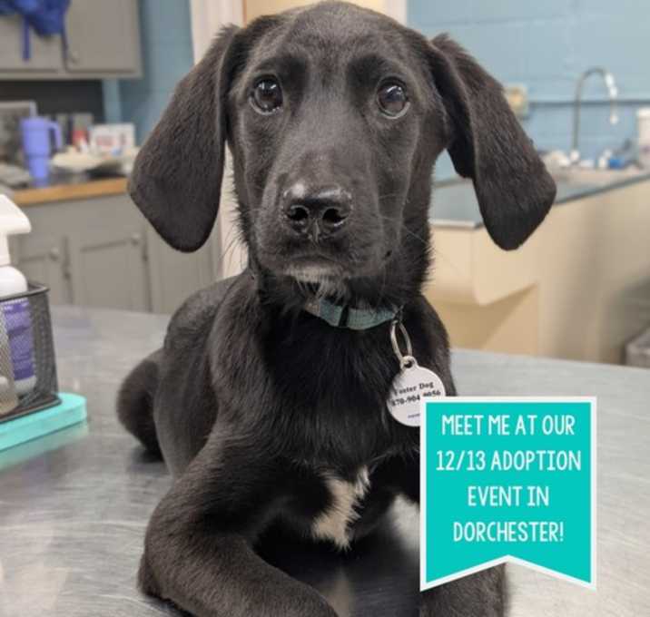 Photo of Nash Greystar