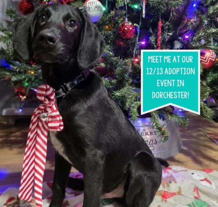 Photo of Charlie Greystar