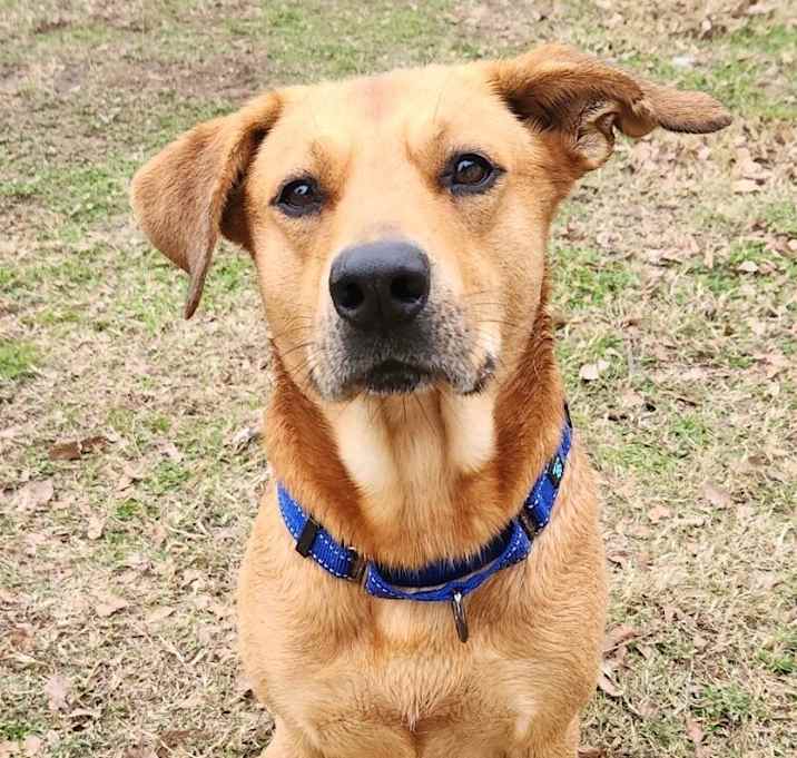 Photo of RUFUS REDLOW