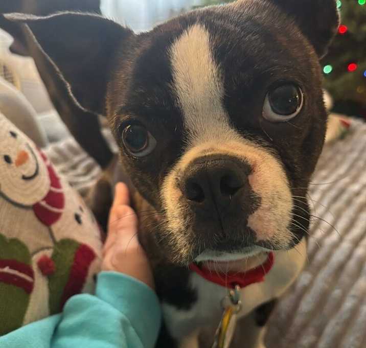 Photo of Hobbs 120625