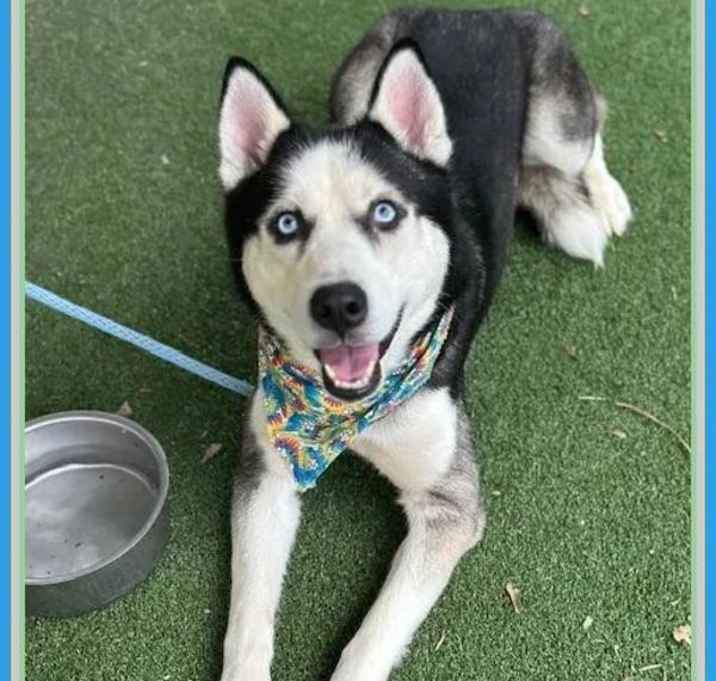 Photo of Princeton(834)