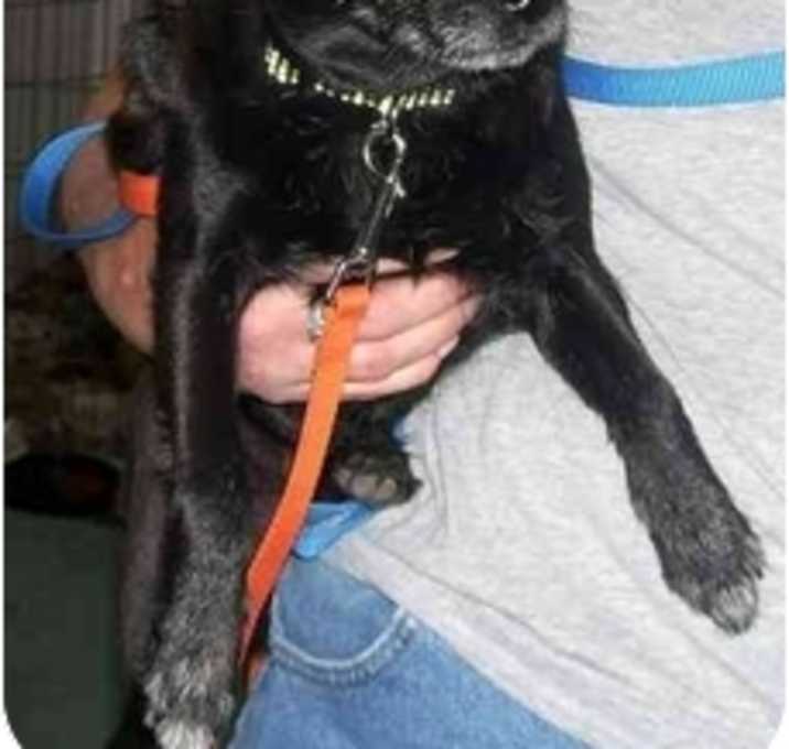 Photo of Nana