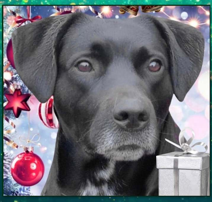 Photo of Duke Silver