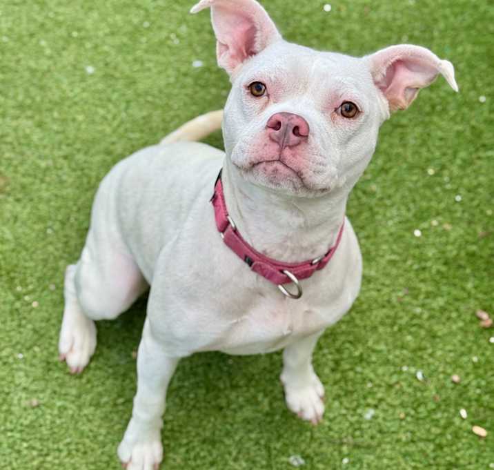 Photo of Sasha(Mall Of NH)