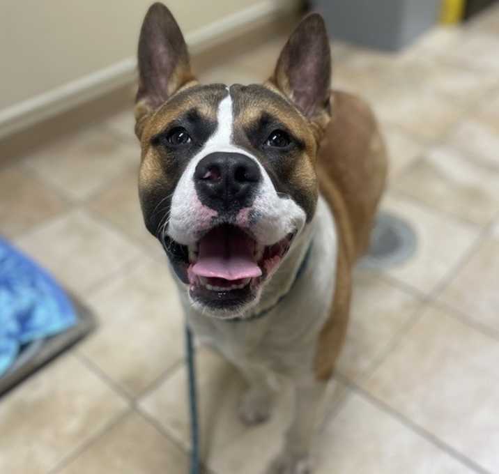 Photo of Ruckus (mcas)