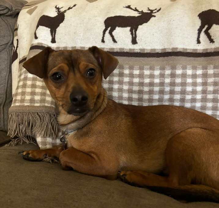 Photo of Paloma Picante