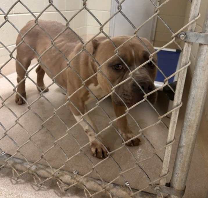 Photo of 22965- Rowie