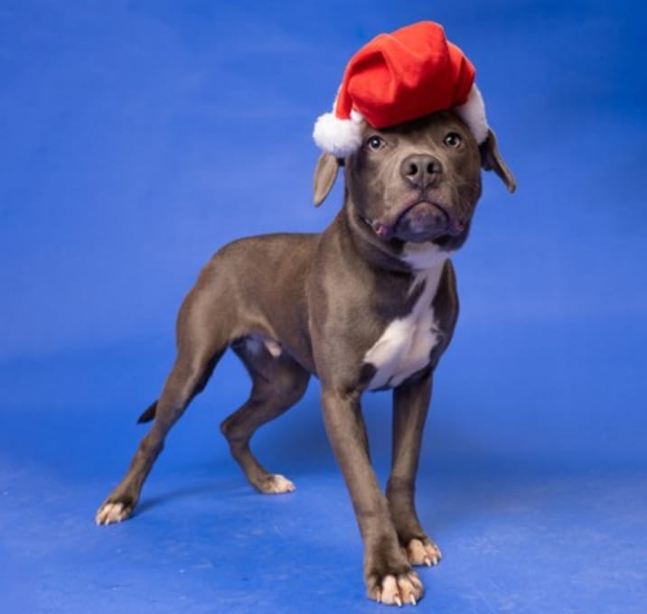 Photo of Salutations