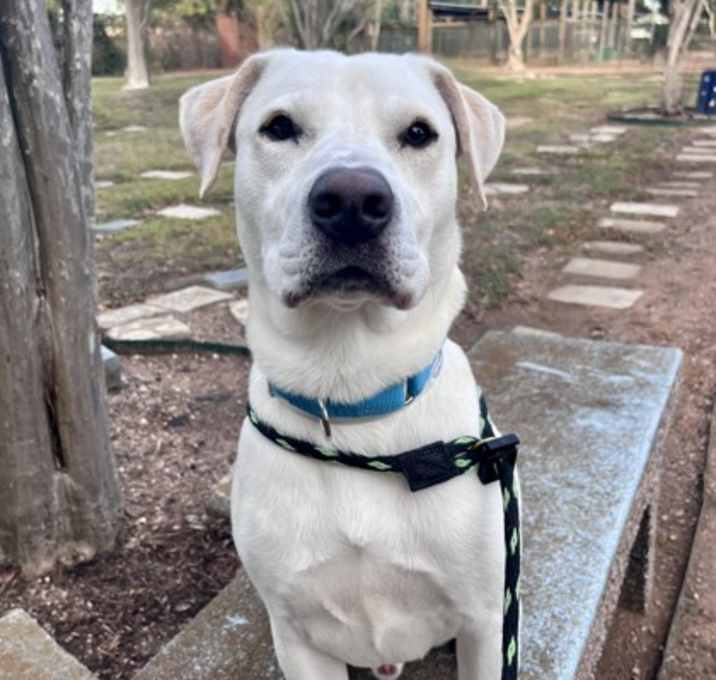 Photo of TOMMY FOSTER