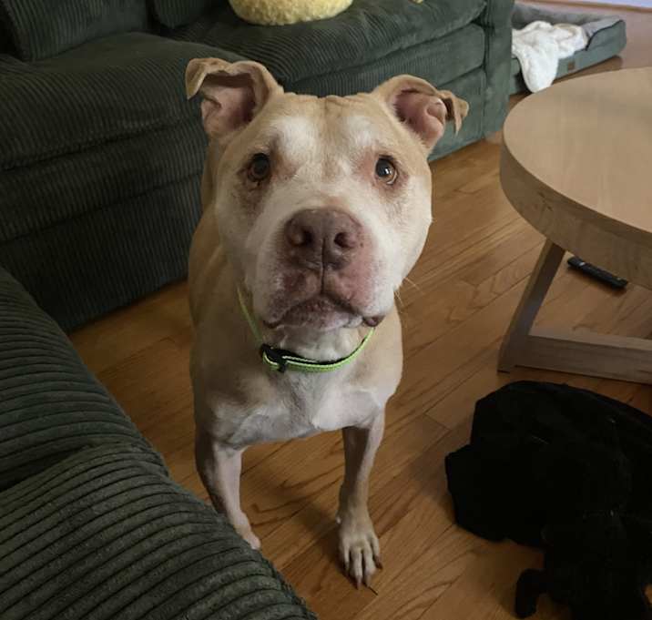 Photo of Maple Bourbon