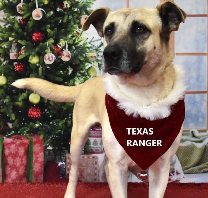 Photo of Texas Ranger