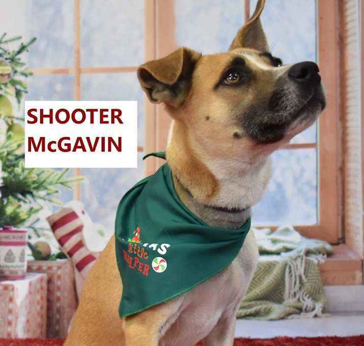 Photo of Shooter McGavin