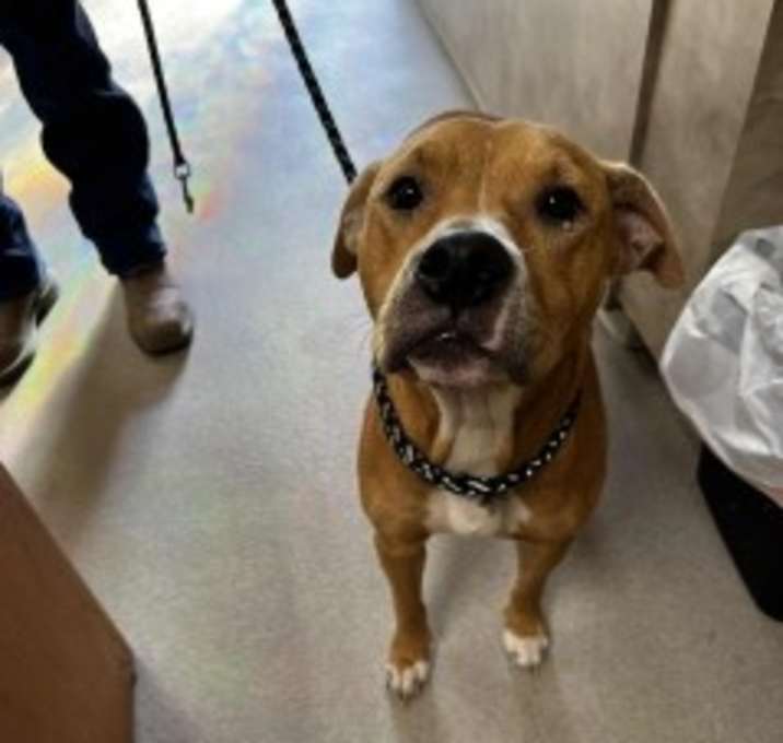 Photo of Ellie 34026 Medusa