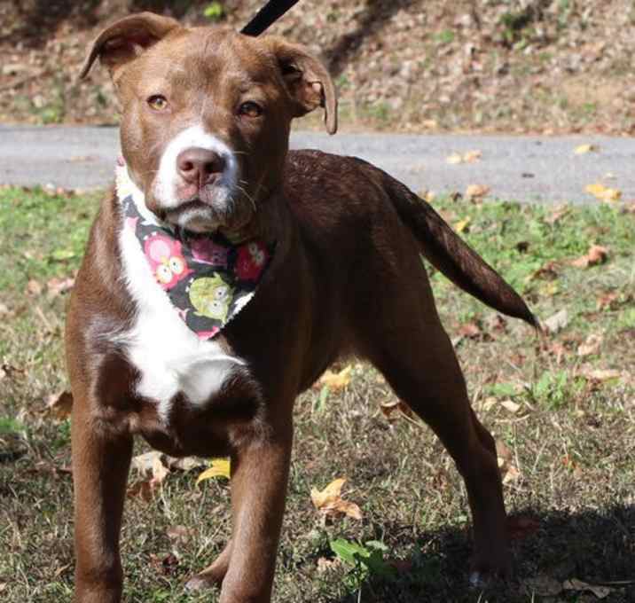 Photo of Mattie 42873