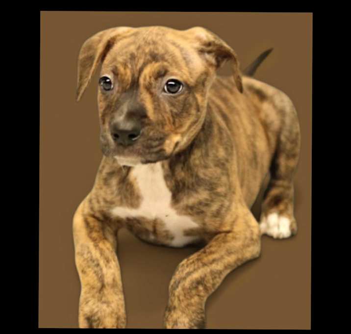 Photo of Tom Buchanan