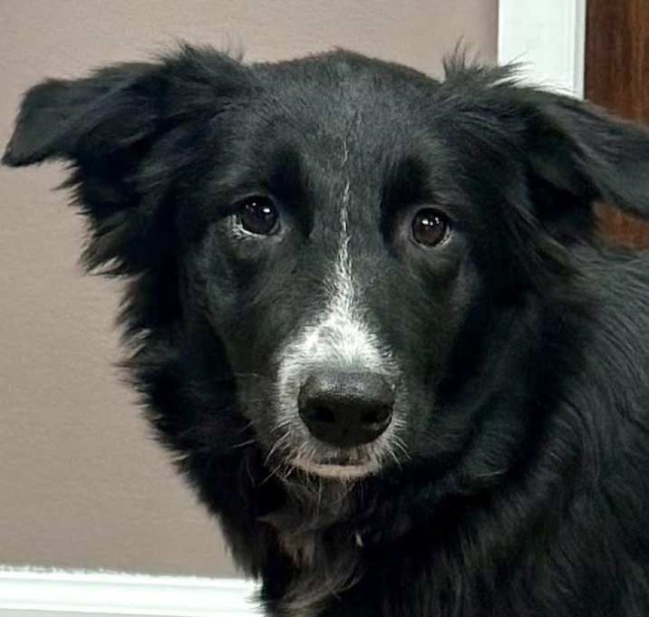 Photo of Livvy (Baby)