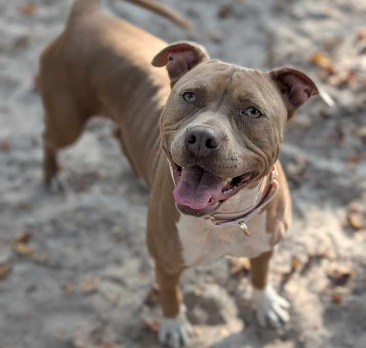 Photo of Harvest 28238