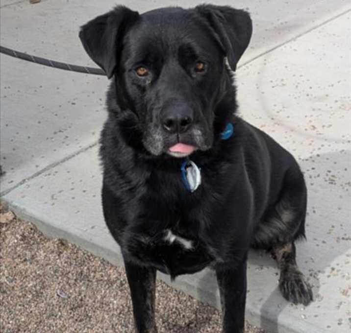 Photo of CHICKEN WING