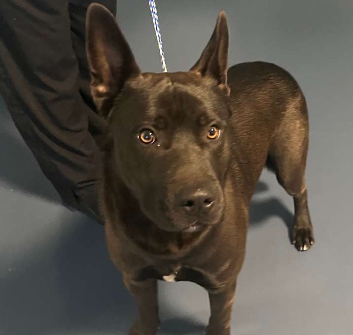 Photo of Kris Kringle