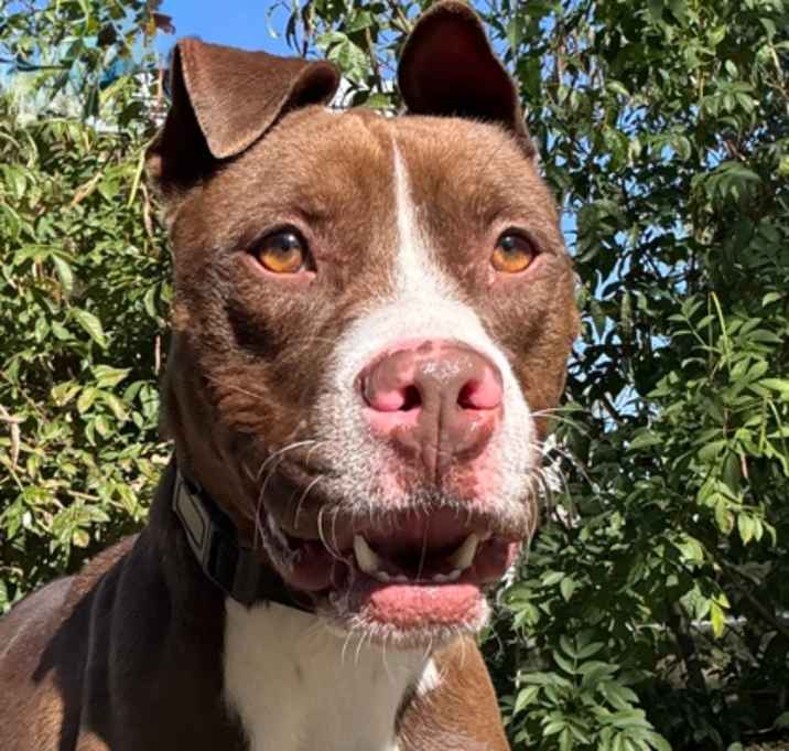 Photo of Lucky Stars