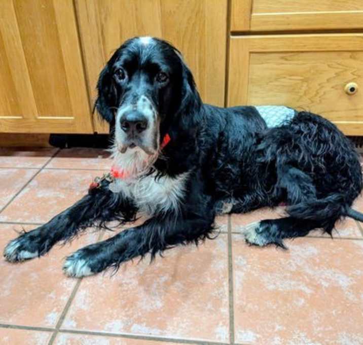 Photo of Dustin Farley