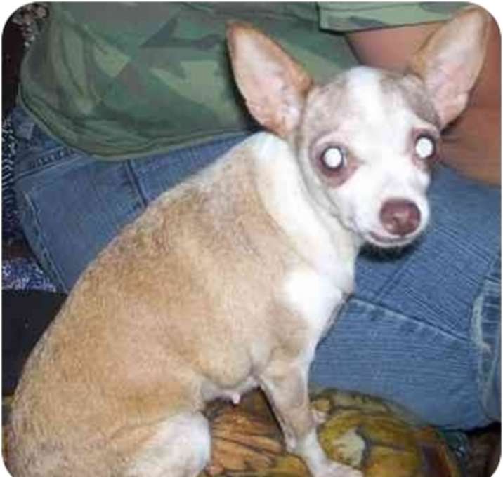 Photo of Sugar