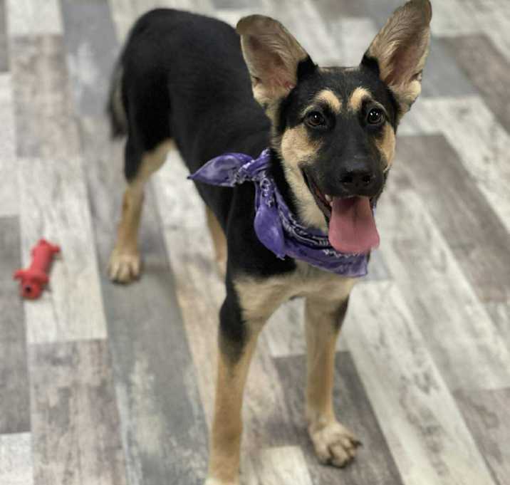 Photo of Angelina JuM