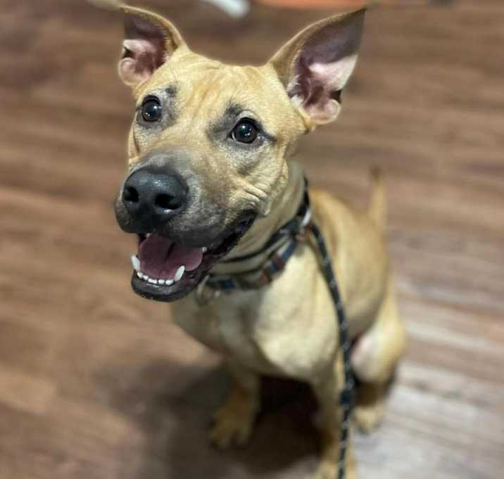 Photo of Chook AKA Chaz JuM