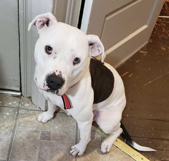 Photo of Billie Jean