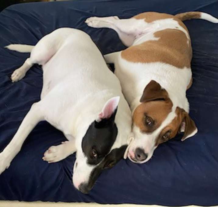 Photo of Baxter and Diesel cattlemen!