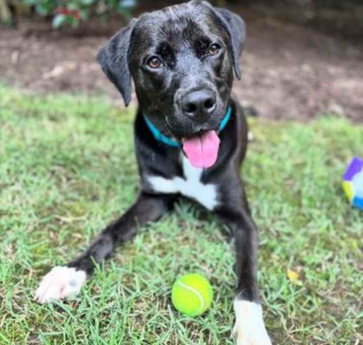 Photo of Courtney Love