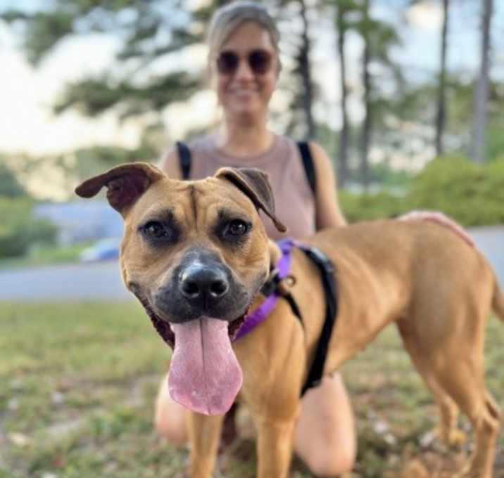 Photo of Georgia Peach