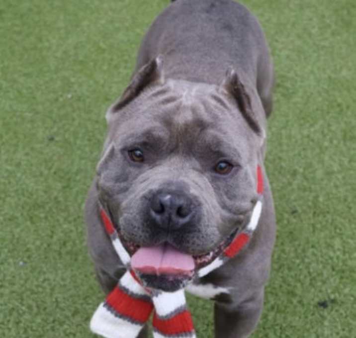 Photo of Chubbs Athens